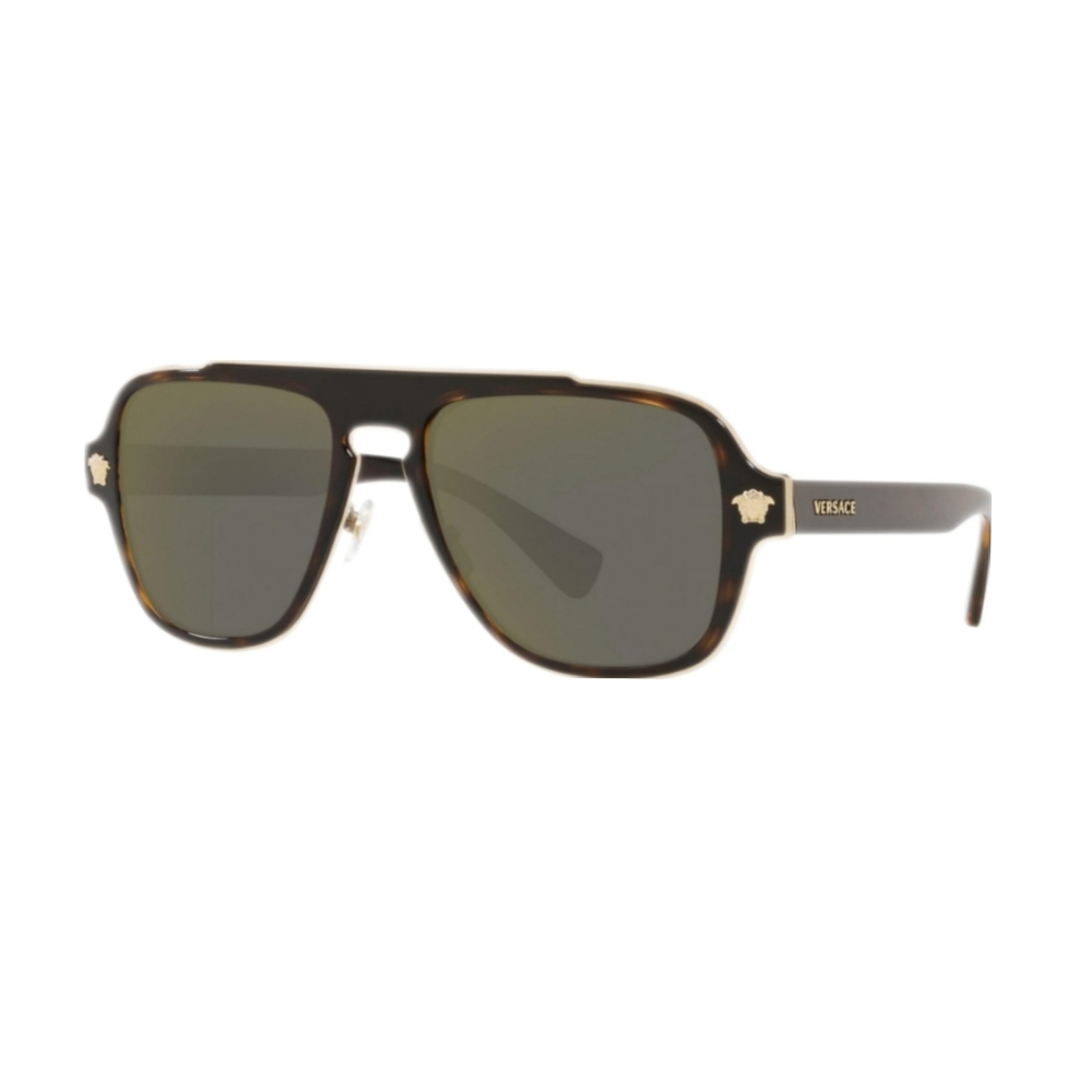 Versace Brown Mens Sunglasses